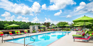 Windsor Lake Gallery 22