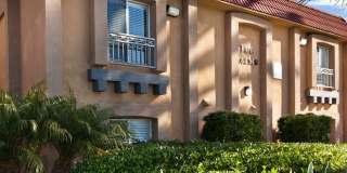 Elan The Palms Gallery 10