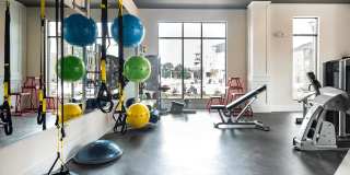 Holly Crest Gallery 14