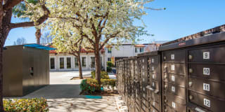 Huntington Vista Gallery 29