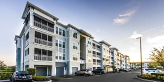 Peridot Palms Gallery 43