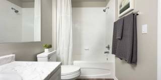 Lexington Palms at the Forum Gallery 46