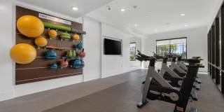 The Griffin Apartments Gallery 26