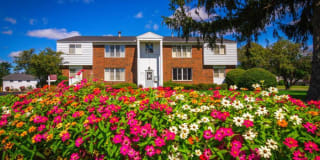 Harlo Apartments Gallery 2