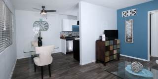 Fifteen 50 Gallery 3