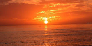 101 WOODLAND PLACE Gallery 39