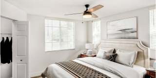 Windsor Pembroke Pines Gallery 15
