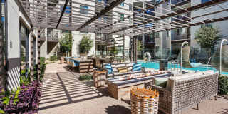 Onyx North Central Gallery 7