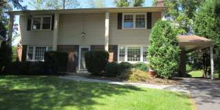 9307 HARNESS HORSE Court Gallery 1