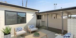 61 Redwood Avenue Gallery 36