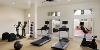 The Andalucia Gallery 15