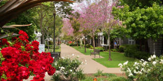 Serenade at Riverpark Gallery 6