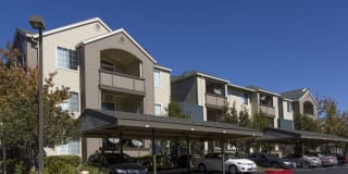 Avalon Campbell Gallery 26