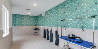 Aspen at Gateway Gallery 22