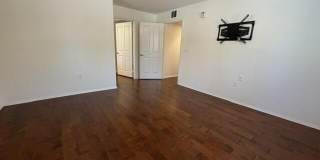 11139 Snapdragon Street Gallery 22