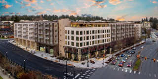 Alexan Main Street Gallery 80