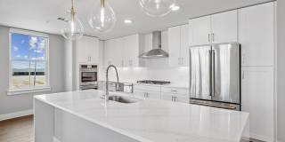 Society at Laurens Gallery 50