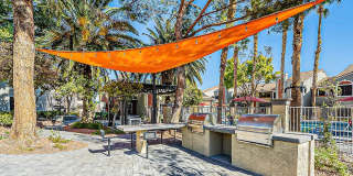 Bella Solara Gallery 15