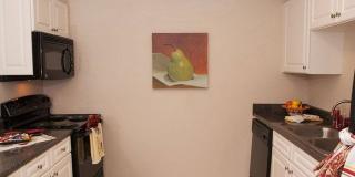 Bella Terraza Gallery 57