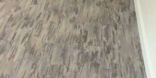 Stunning Renovation - South Side Flats Gallery 16