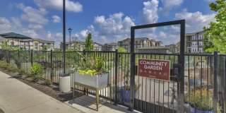 Affordable Housing - Frontera Crossing Gallery 39