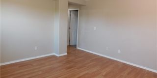913 Ambrosia Drive Gallery 17