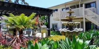 La Jolla Canyon Gallery 22