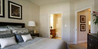 Commons at Boston Road Gallery 18