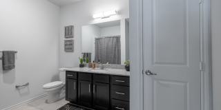 Moonlight Moonlight Gallery 2