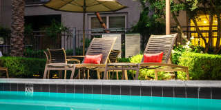 Paragon at Old Town Gallery 4