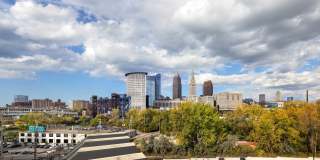 The Collins The Collins Gallery 40