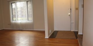 TRENT 543 Gallery 13