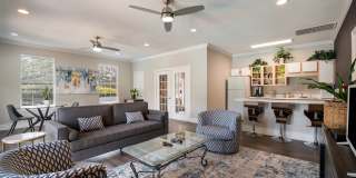 Park Village Gallery 2