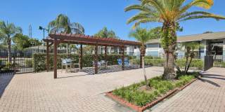 The Palms at Countryside Apartments Gallery 15