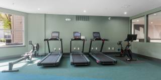 Cortland Belmar Gallery 39