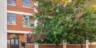 881 Memorial Drive #206 881 Memorial Drive #206 Gallery 1
