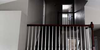 10408 Lone Lynx Gallery 7