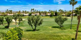 55120 Tanglewood Gallery 50