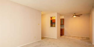 1232 Barton Hills Dr 1232 Barton Hills Dr Gallery 1