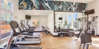 Rockrimmon Gallery 7