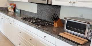 29657 Starring Gallery 9