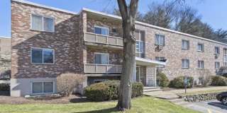 42 Lionel Ave. Gallery 1