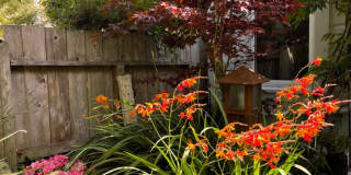 2937 Scott Gallery 32