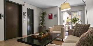 600 Olive Gallery 2
