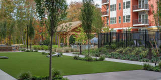 The Lodge Gallery 19