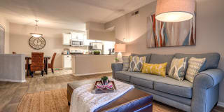 Palmetto Grove Palmetto Grove Gallery 15