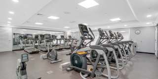 TGM Anchor Point Gallery 22