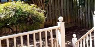 464 WINDING ROSE DR Gallery 35