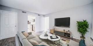 Bella Vista Gallery 5