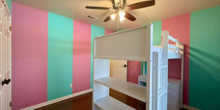 Beautiful single-story home on a corner lot in New Braunfels! Gallery 22